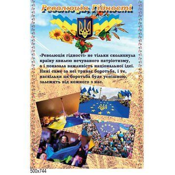 Революция Достоинства 41538 фото с примером дизайна