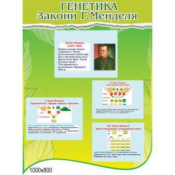 Стенд Генетика в кабінет біології 44409 фото з прикладом дизайну
