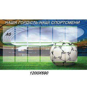 Наша гордість-наші спортсмени 42298 фото з прикладом дизайну