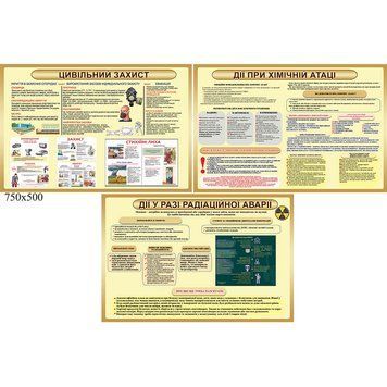 Химическая и радиационная безопасность 1254412 фото с примером дизайна