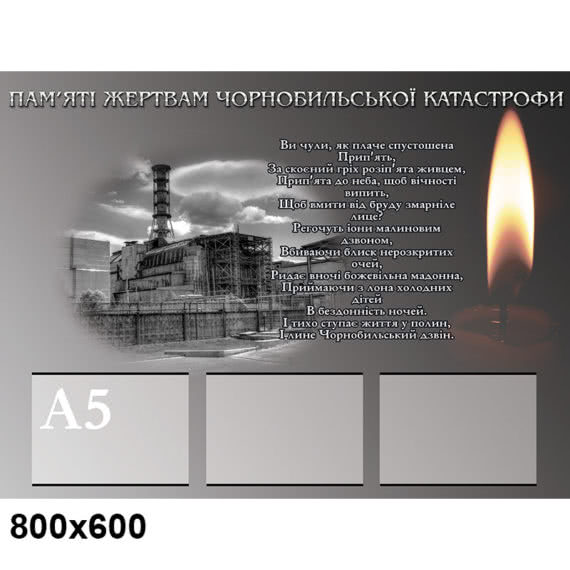 Пам'яті жертвам Чорнобиля фото 54770